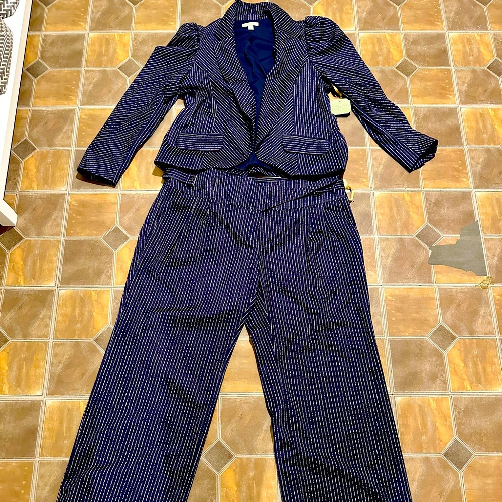 Ryegrass Navy Pinstripe Size 16W Pant Suit